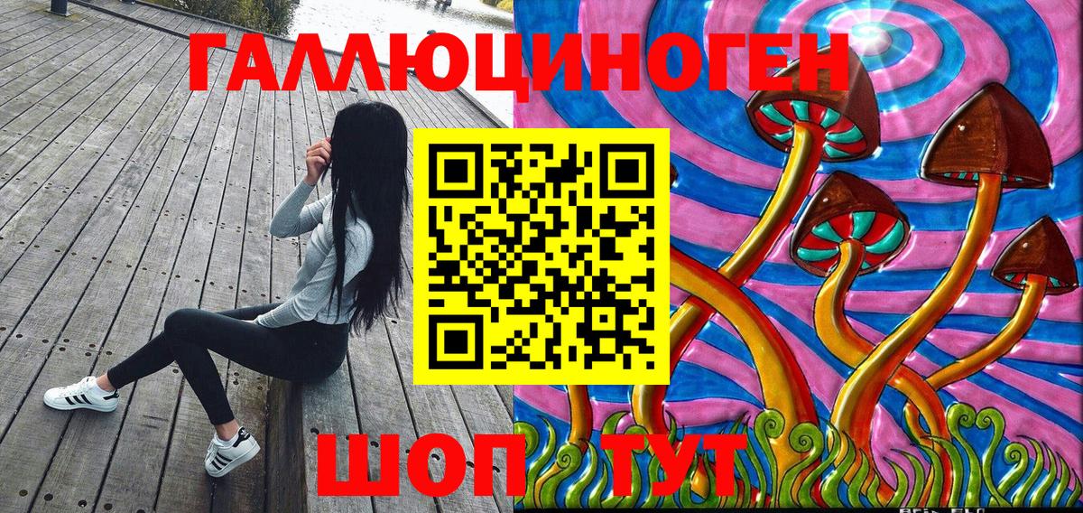 Галлюциногенные грибы Psilocybe Шебекино