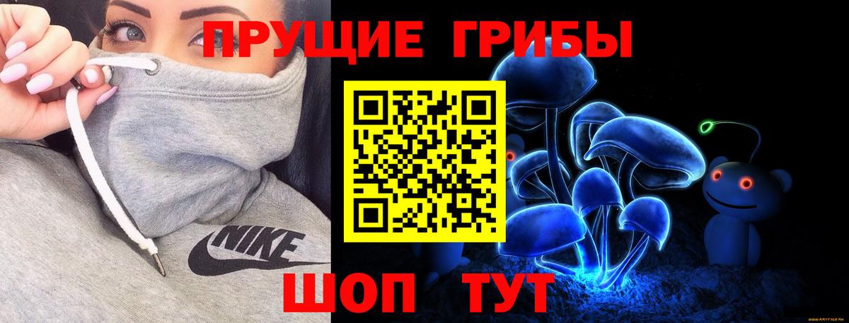 Шебекино  Галлюциногенные грибы Psilocybe  Вход с VPN 